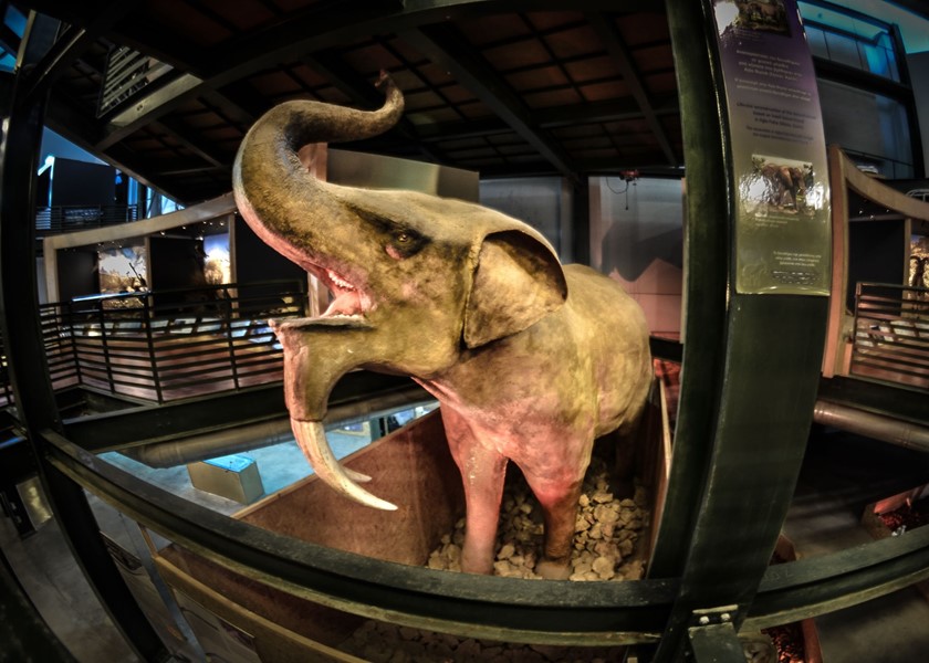 Natural History Museum of Crete in Heraklion