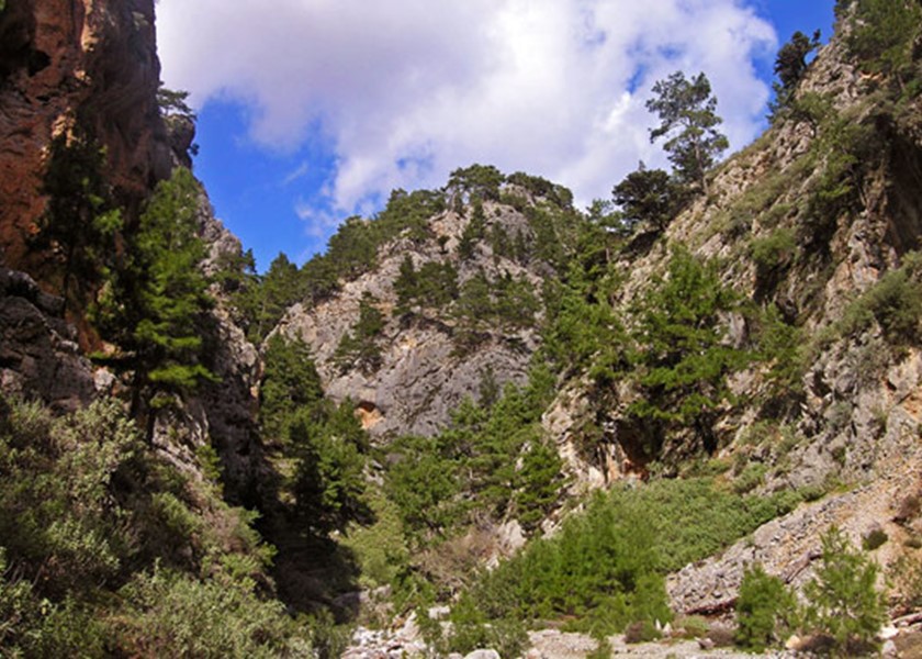 Gorge of Agia Eirini