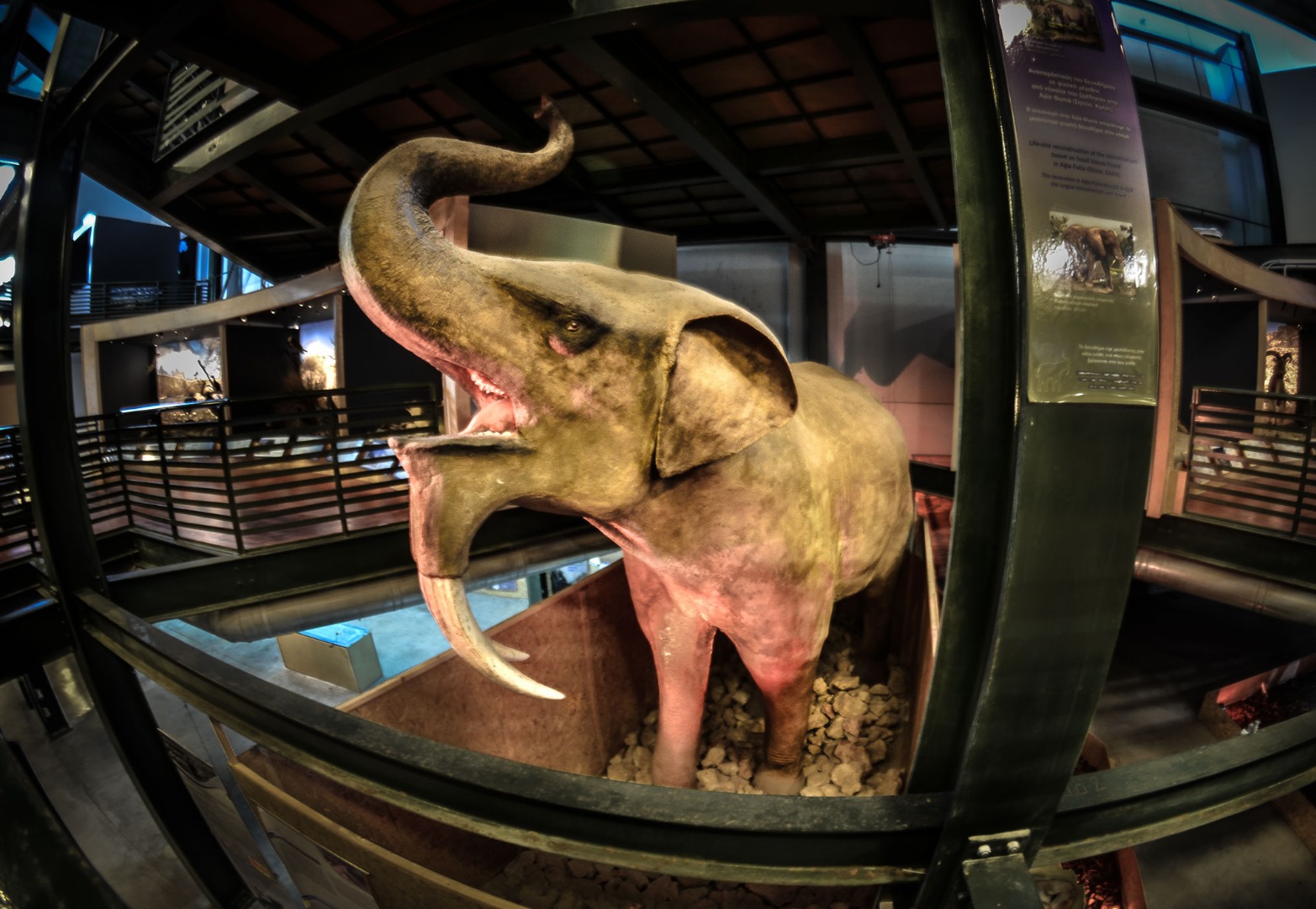 Natural History Museum of Crete in Heraklion